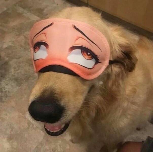 Daily Pictures. Part 1 (66 pics)