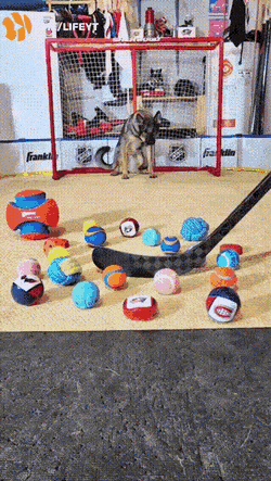 Acid GIFs, October 28 (25 gifs)