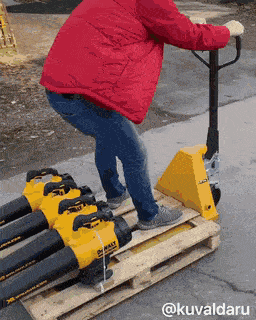 Acid GIFs, October 28 (25 gifs)