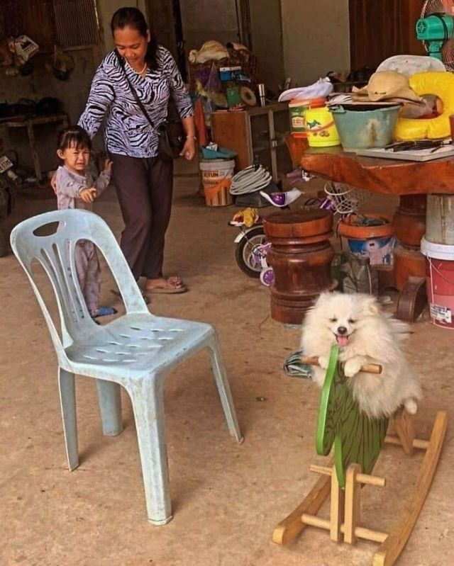 Strange Animals (21 pics)