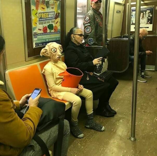 Daily Pictures. Part 1 (60 pics)