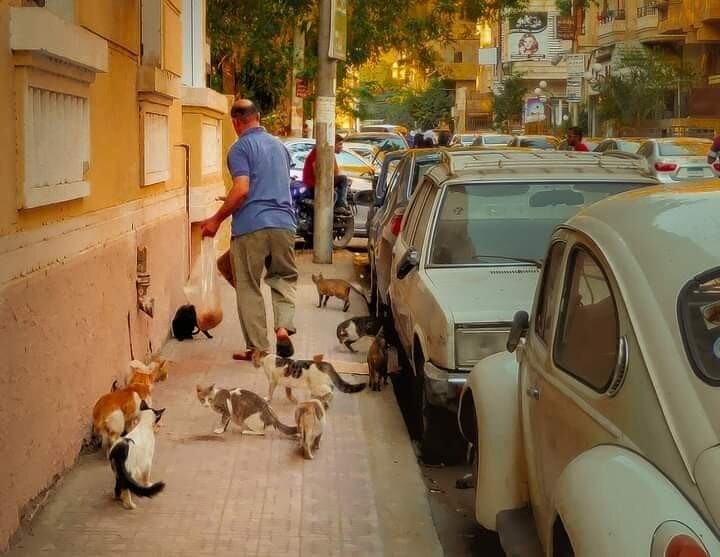 Interesting Photos From Egypt (21 pics)