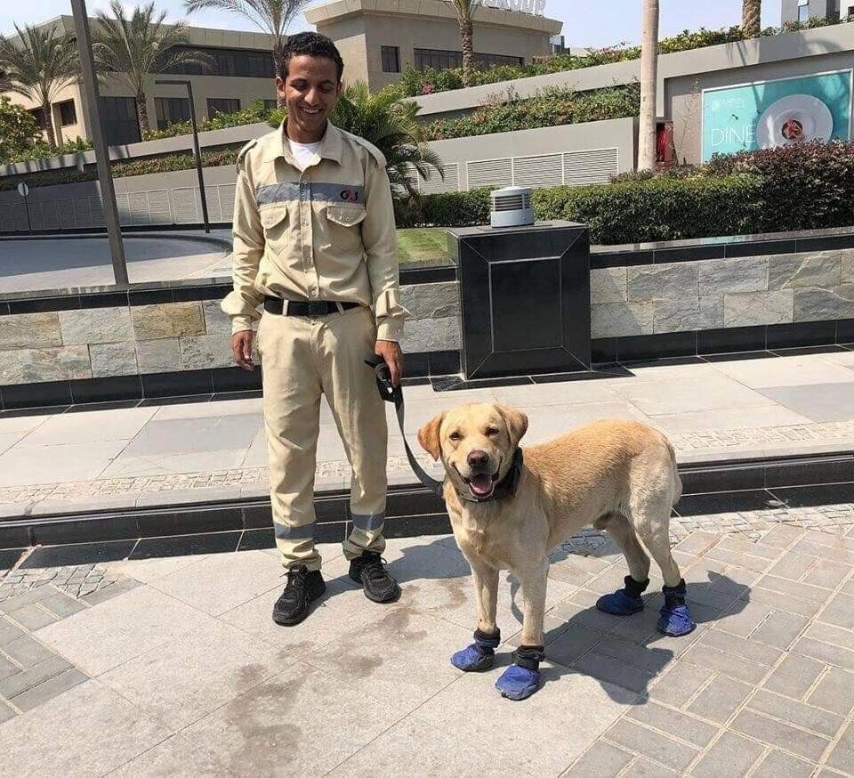 Interesting Photos From Egypt (21 pics)