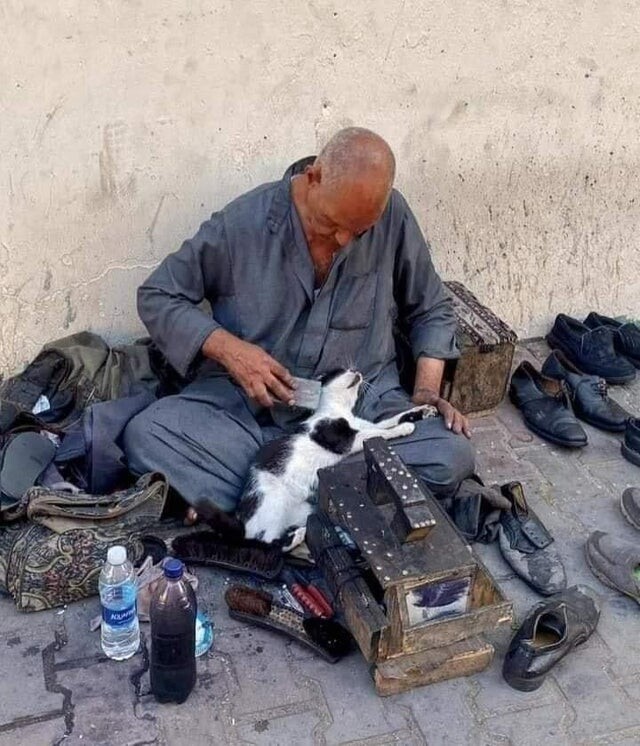 Interesting Photos From Egypt (21 pics)