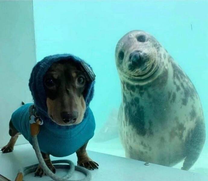 Daily Pictures. Part 1 (68 pics)