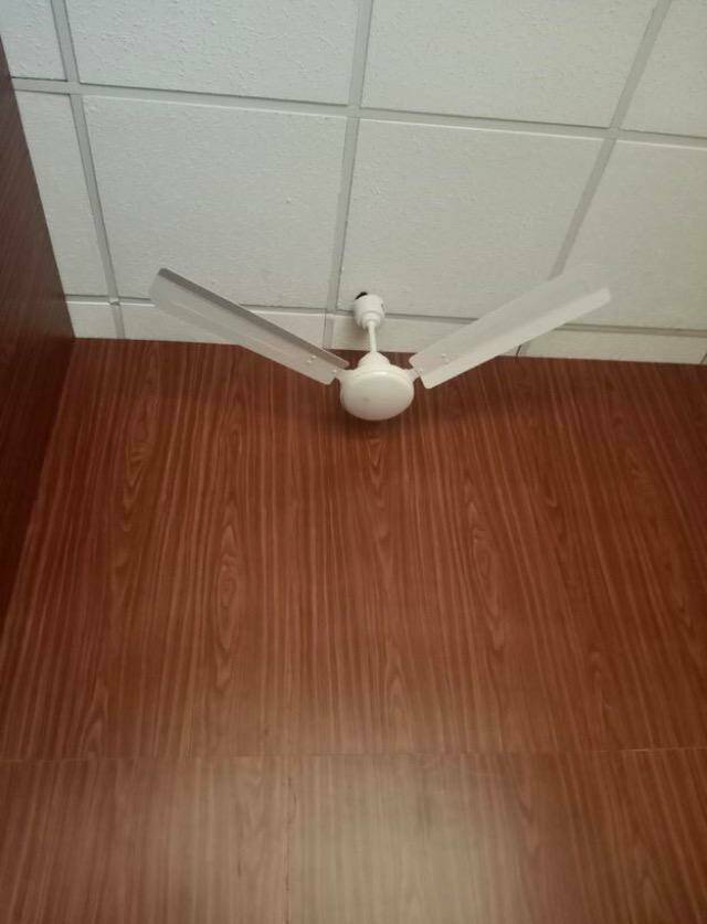 Daily Pictures. Part 2 (67 pics)