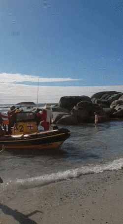 Acid GIFs, November 1 (25 gifs)