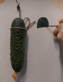 Acid GIFs, November 1 (25 gifs)