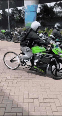 Acid GIFs, November 1 (25 gifs)