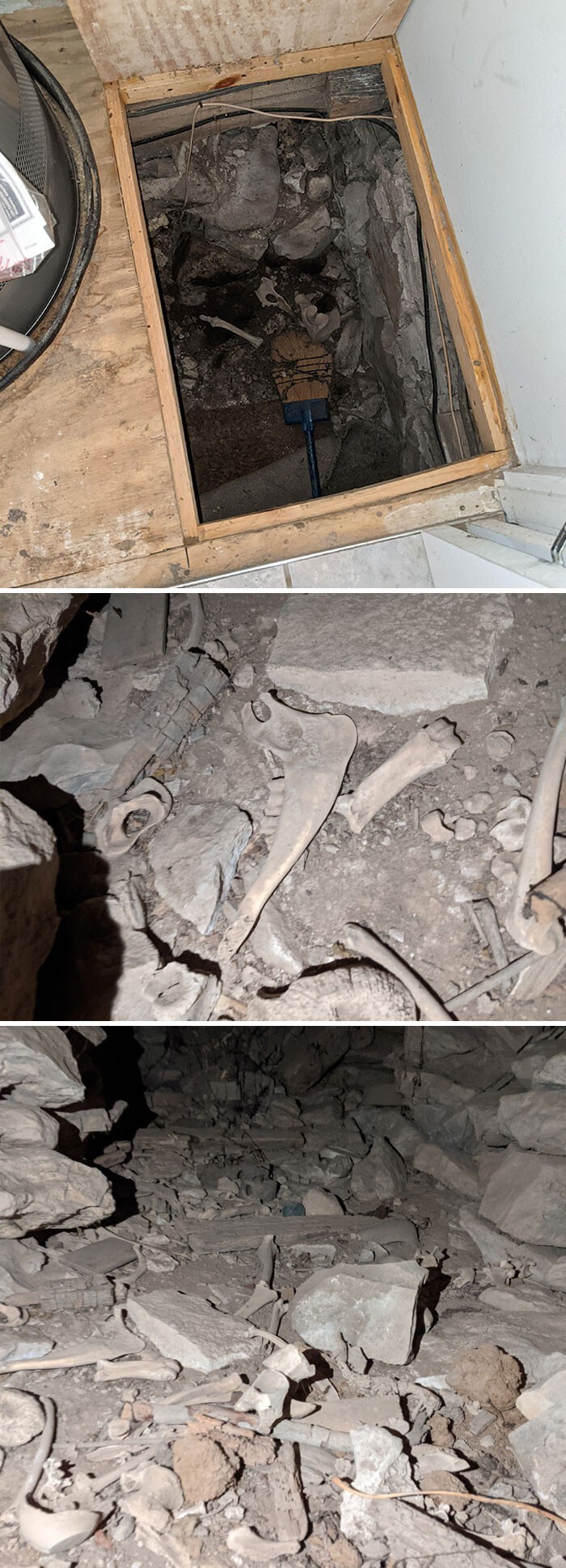 Odd Finds In Old Houses (20 pics)
