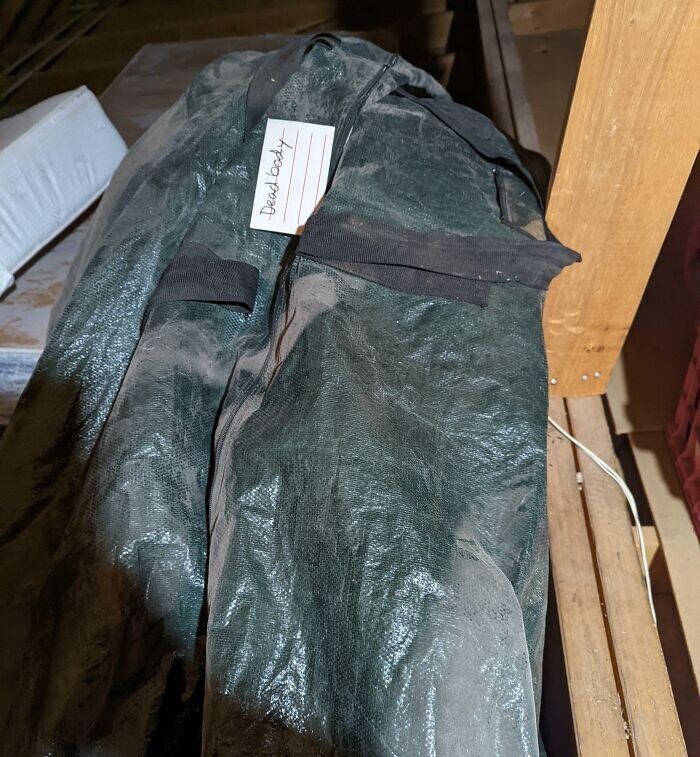 Odd Finds In Old Houses (20 pics)