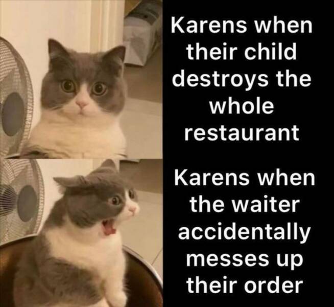 Daily Pictures. Part 2 (59 pics)