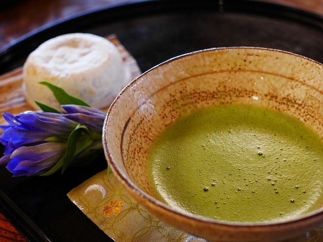 Kratom Shots For Energy: Are They Worth Trying? Kratom Shots For Energy: Are They Worth Trying?