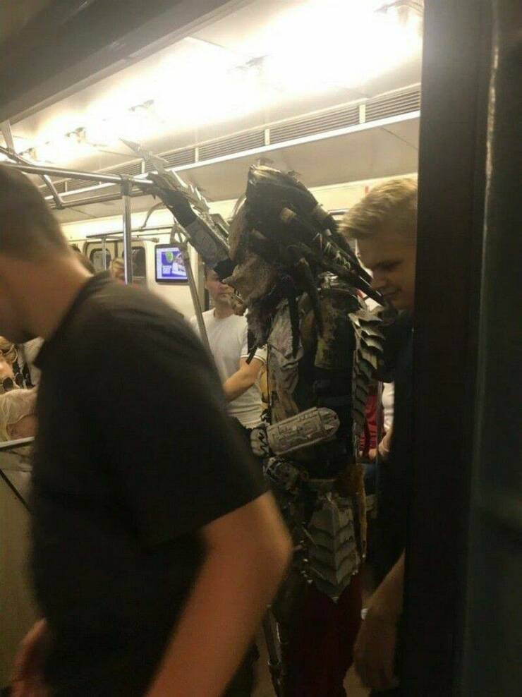 Daily Pictures. Part 1 (62 pics)