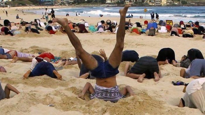 What Is Going On Here? (16 pics)