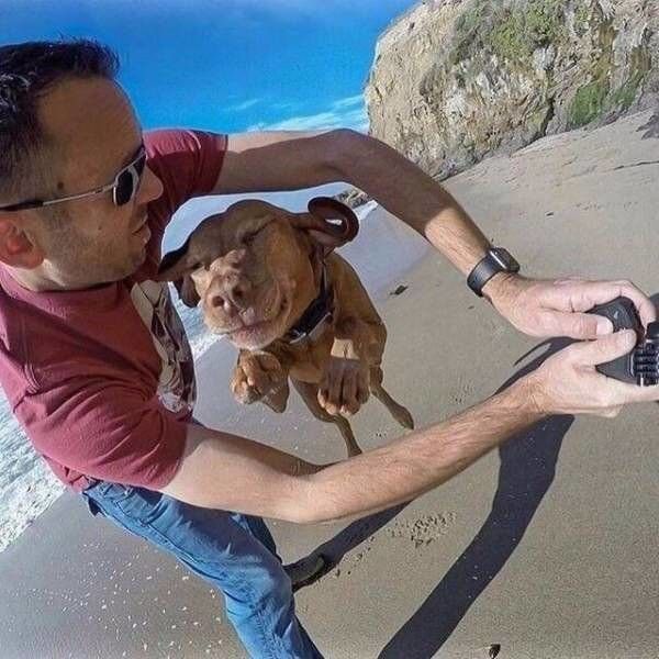 Right Moment (19 pics)