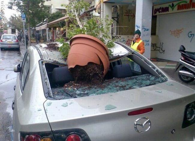 Weird Car Crashes (21 pics)