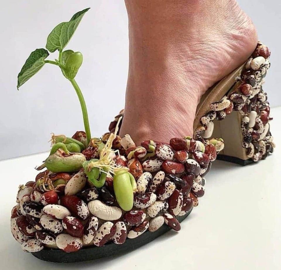 Very Strange Shoes (15 pics)