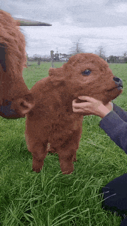 Acid GIFs, November 4 (25 gifs)