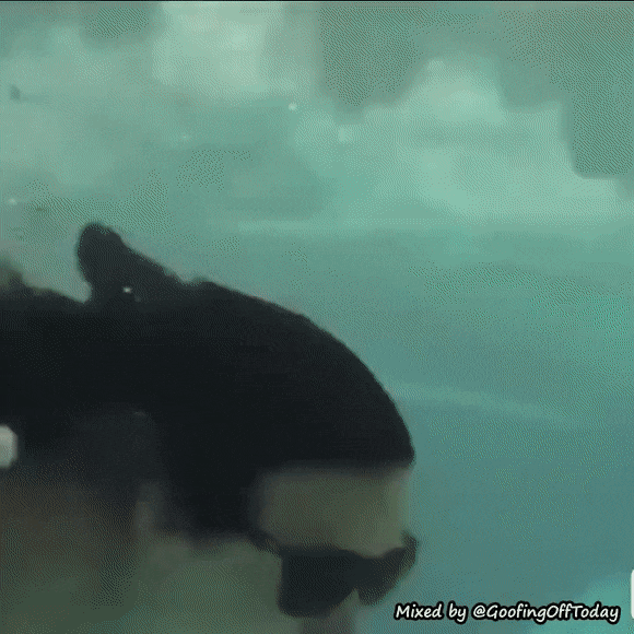 Acid GIFs, November 4 (25 gifs)