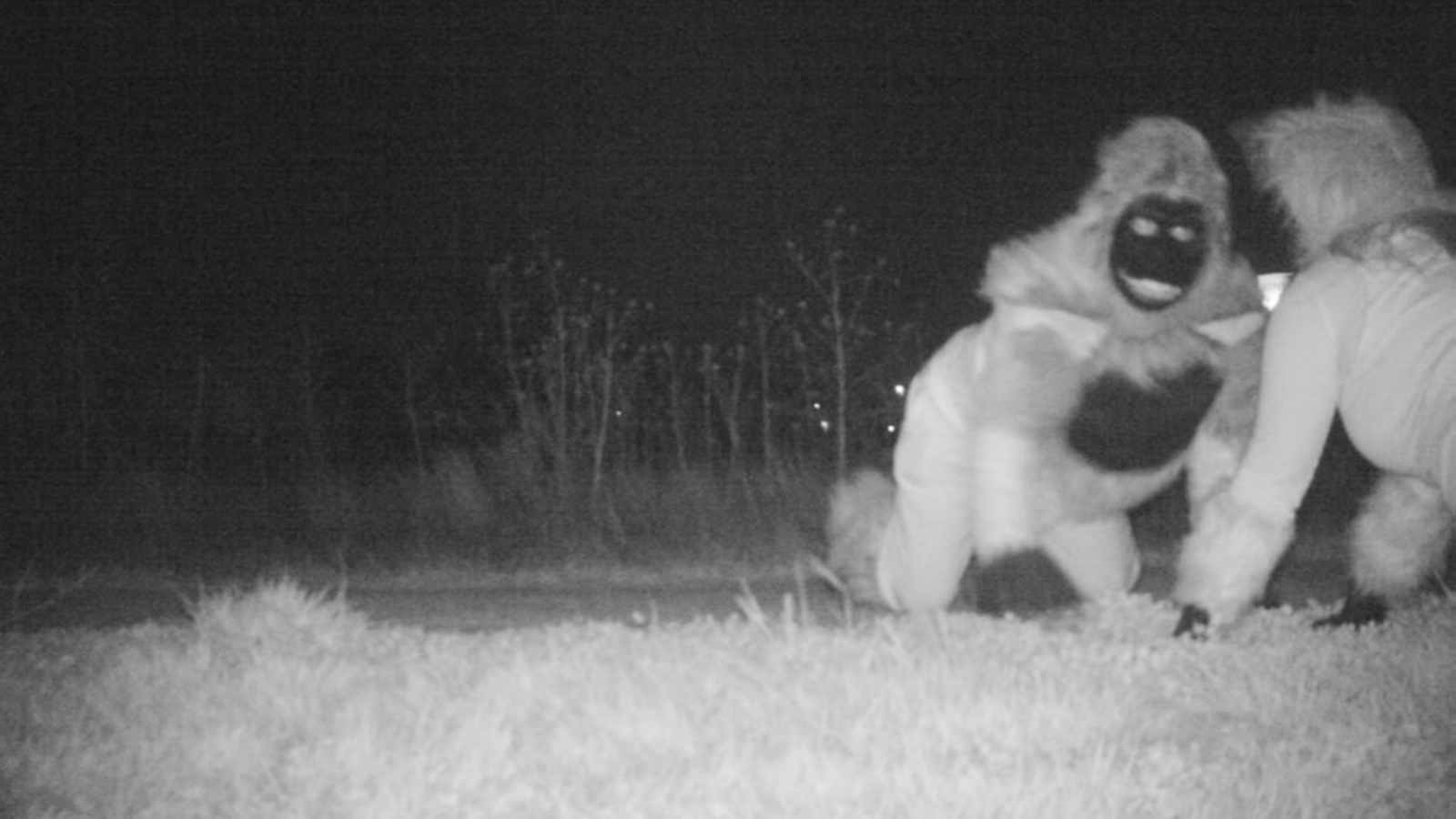 Creepy Photos (20 pics)