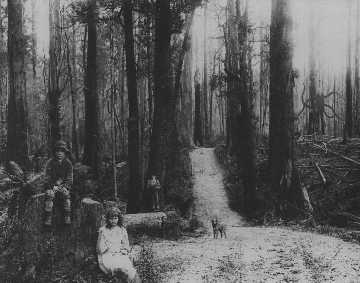 Creepy Photos (20 pics)