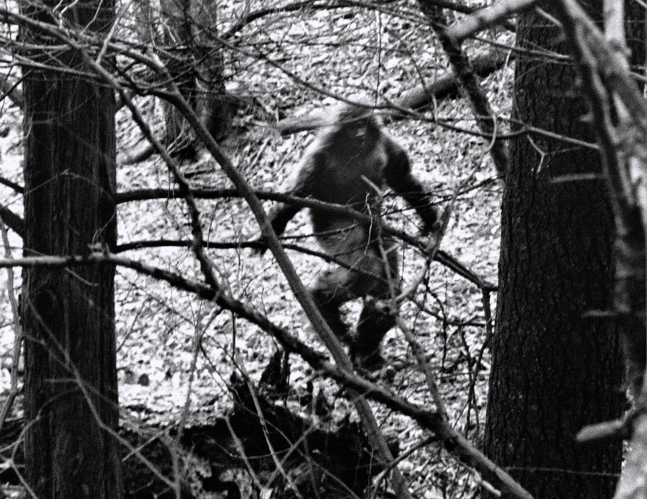 Creepy Photos (20 pics)