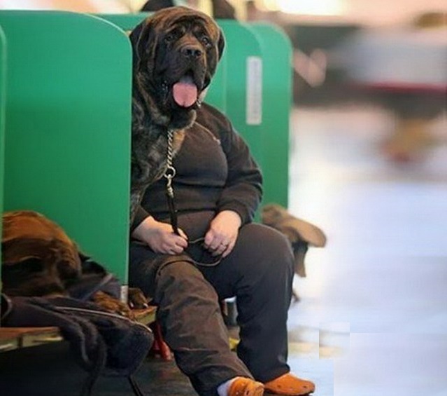 Look Twice (21 pics)