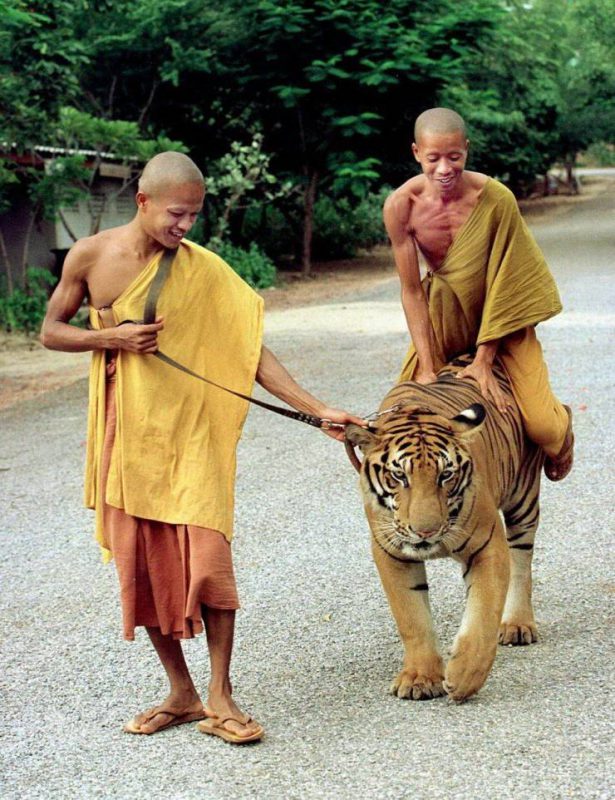 Strange Photos From Asian Countries (24 pics)