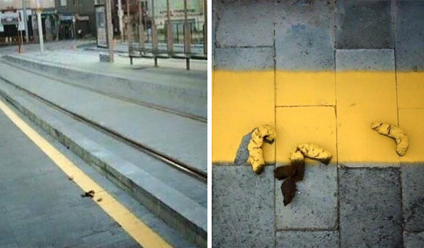 Funny Fails (24 pics)