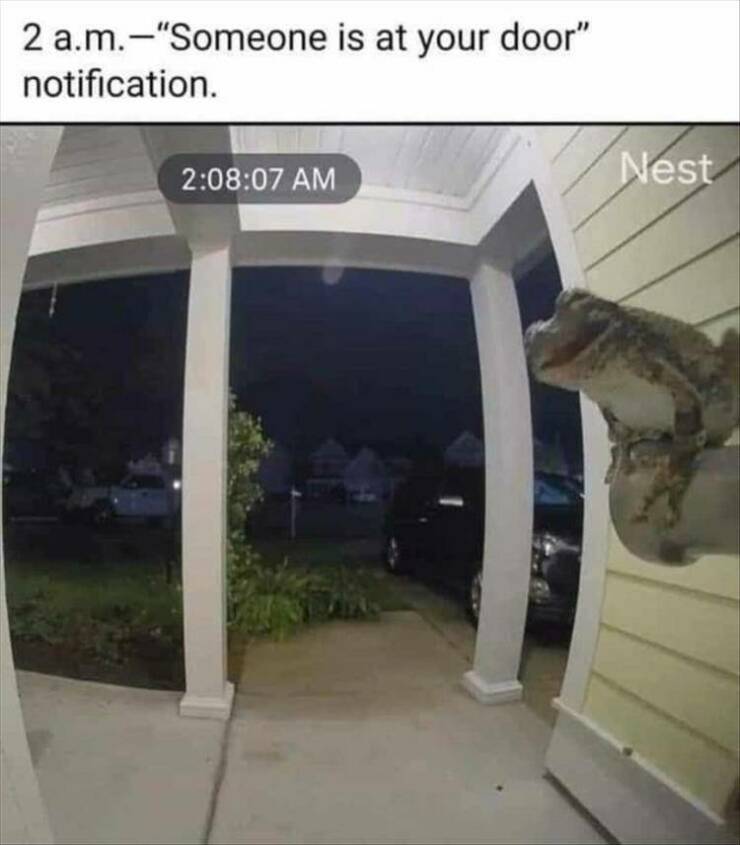 Daily Pictures. Part 2 (57 pics)