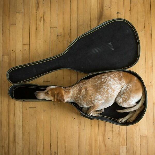 Photos For Perfectionists (22 pics)