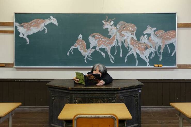 The Teacher Draws Pictures On The Blackboard (23 pics)