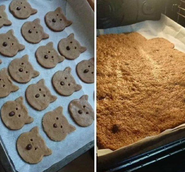 Expectations Against Reality (17 pics)