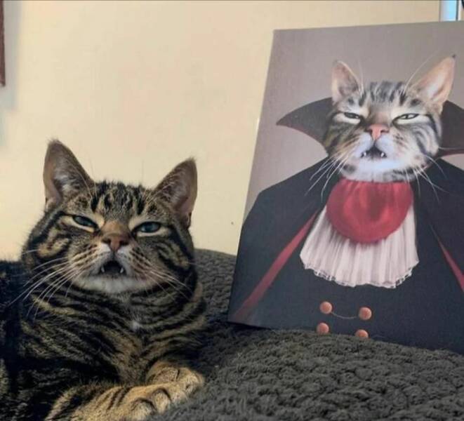 Daily Pictures. Part 1 (57 pics)