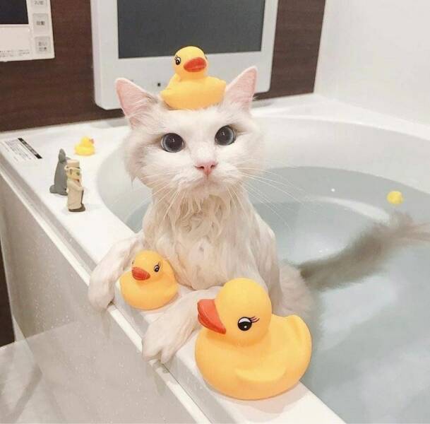 Daily Pictures. Part 1 (57 pics)