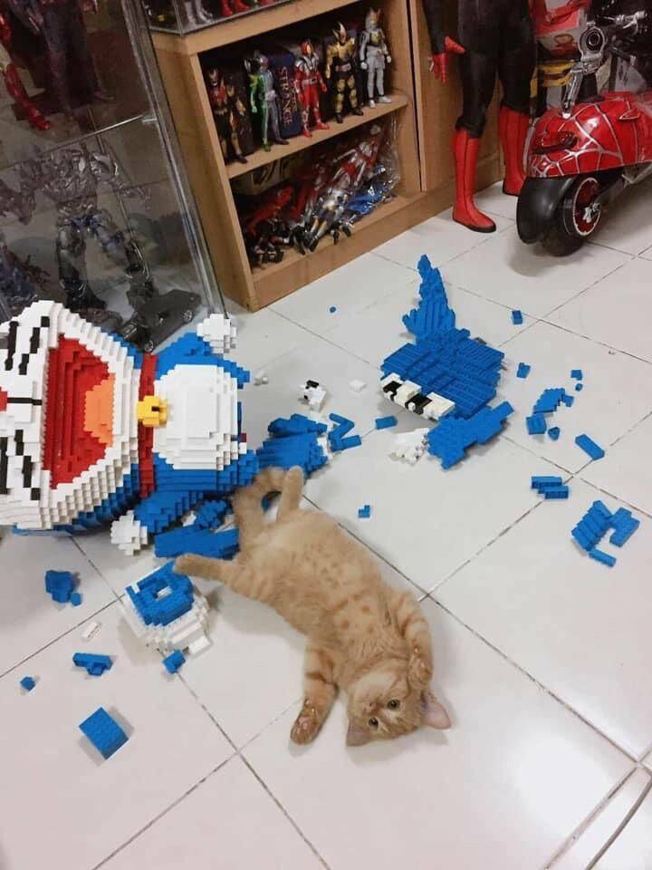 Daily Pictures. Part 1 (57 pics)