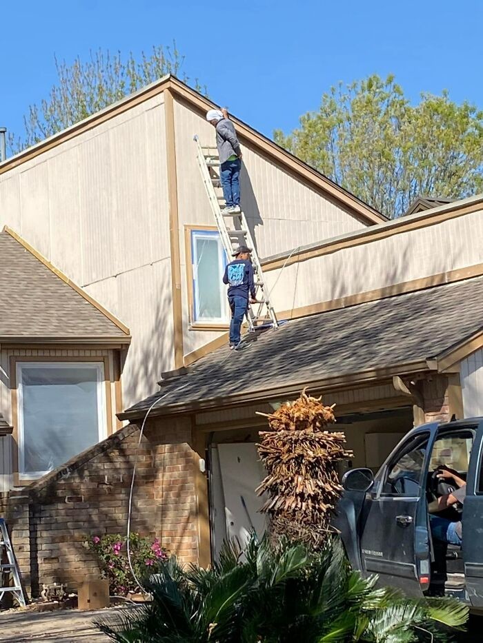 They Don't Think About Safety (19 pics)