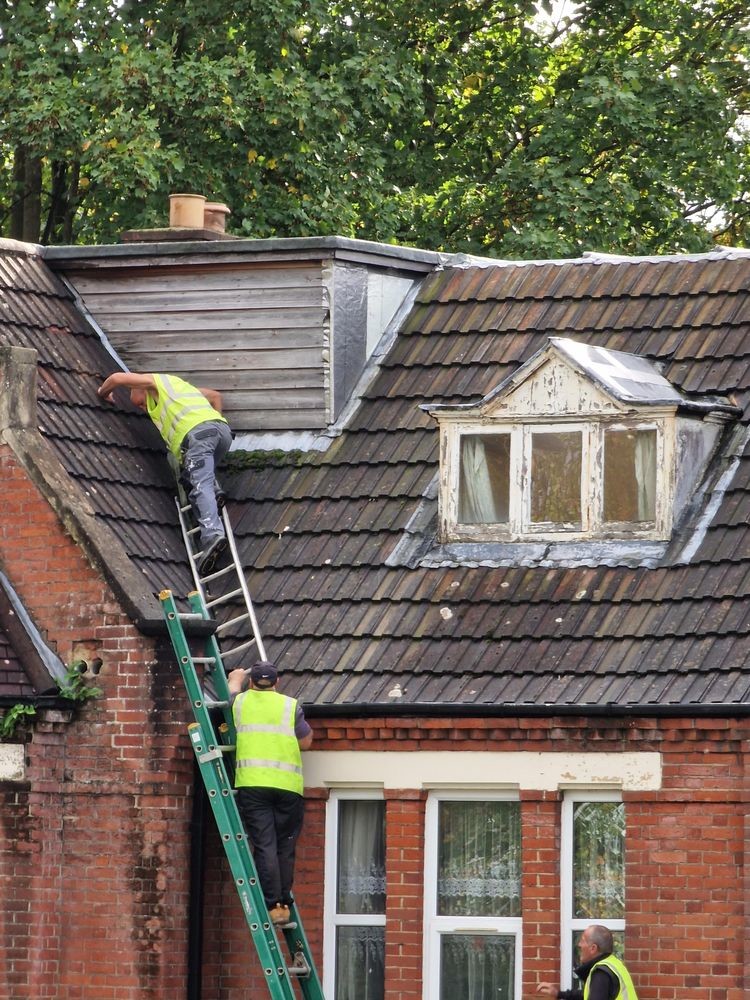 They Don't Think About Safety (19 pics)