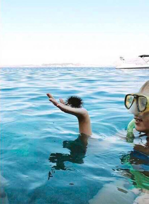 Optical Illusions (25 pics)