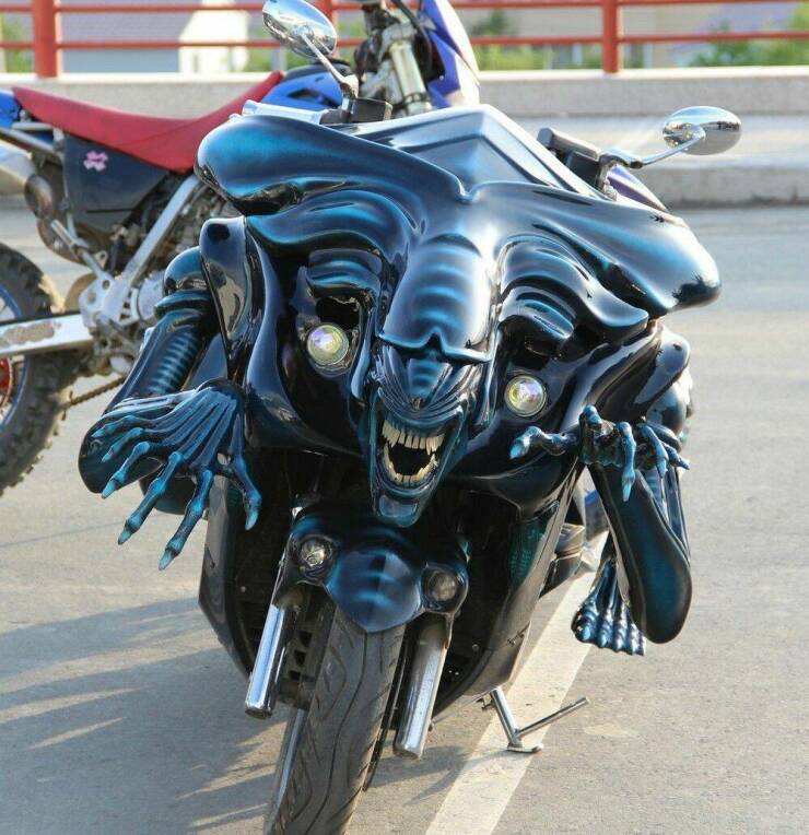 Daily Pictures. Part 1 (63 pics)