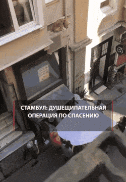 Acid GIFs, November 15 (25 gifs)
