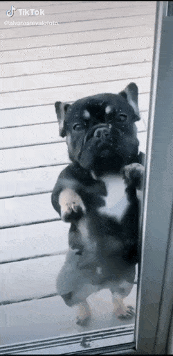 Acid GIFs, November 16 (25 gifs)