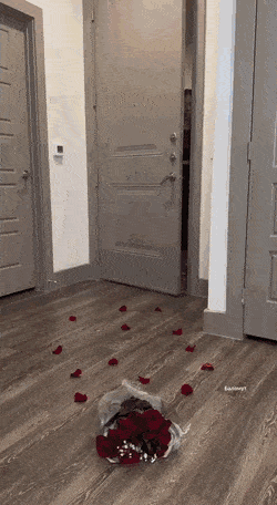 Acid GIFs, November 16 (25 gifs)
