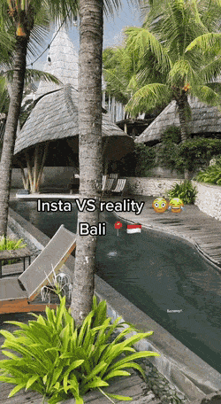 Acid GIFs, November 16 (25 gifs)