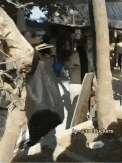 Acid GIFs, November 16 (25 gifs)