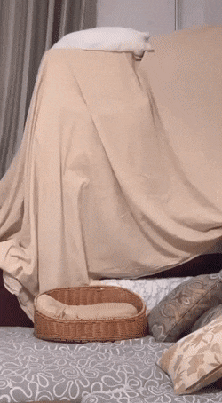 Acid GIFs, November 16 (25 gifs)