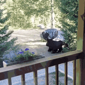 Acid GIFs, November 16 (25 gifs)