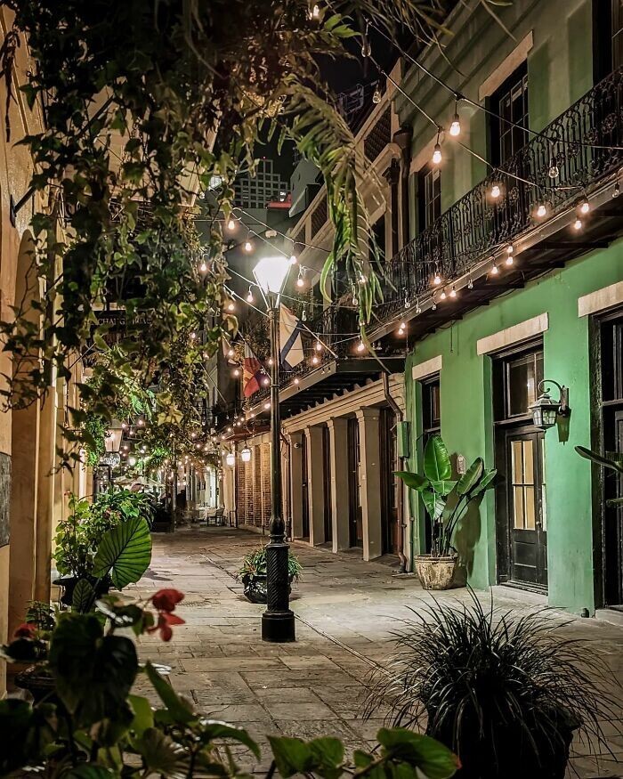 Awesome Vintage Houses In New Orlean (24 pics)