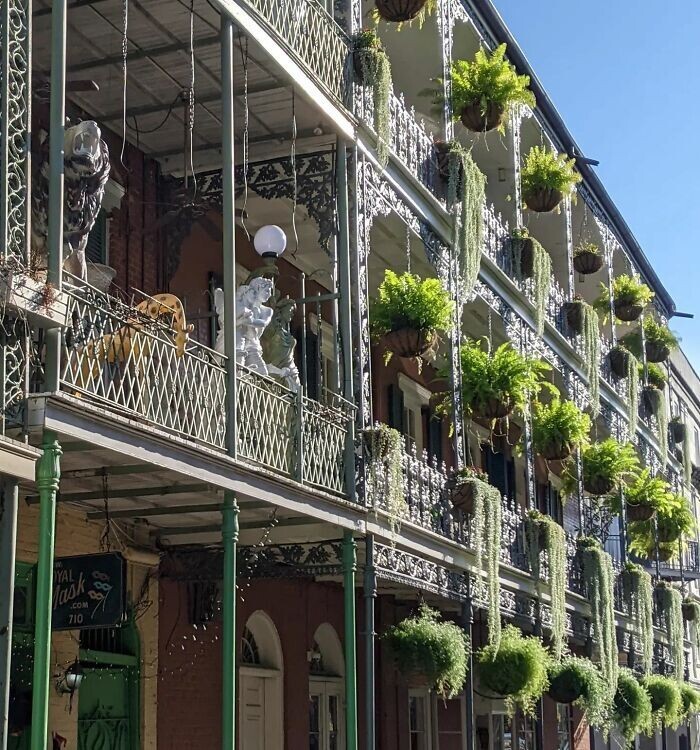 Awesome Vintage Houses In New Orlean (24 pics)